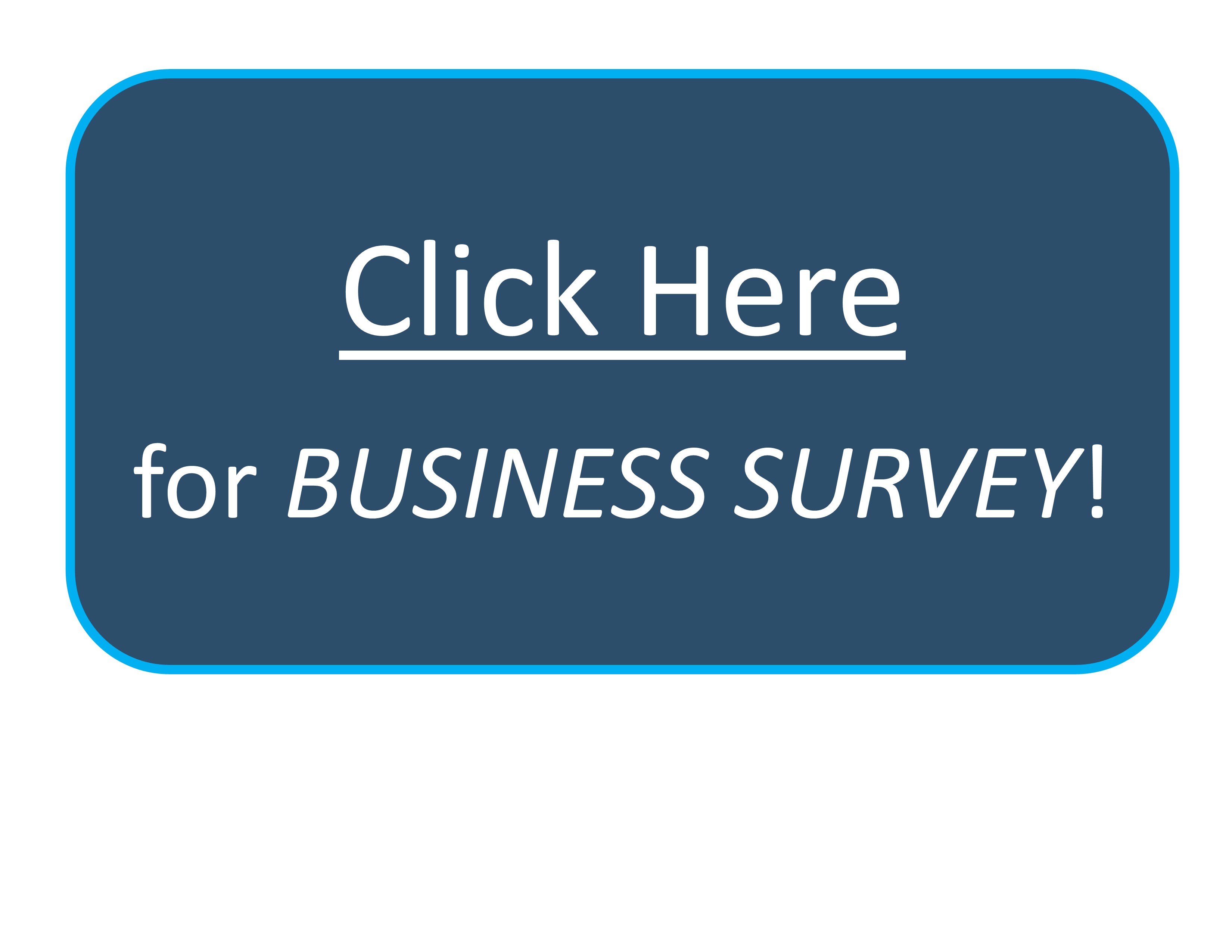 Button - Business Survey